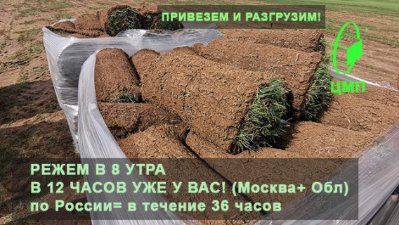 Две недели хорошей погоды по плану, пришло время рулонного газона!