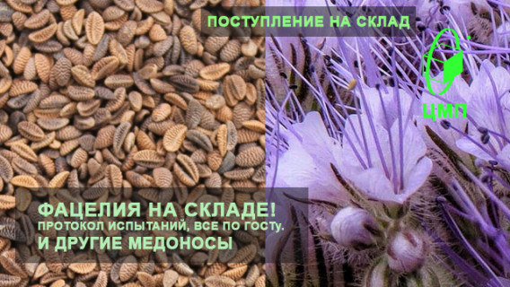 ФАЦЕЛИЯ ПОСТУПИЛА НА СКЛАД